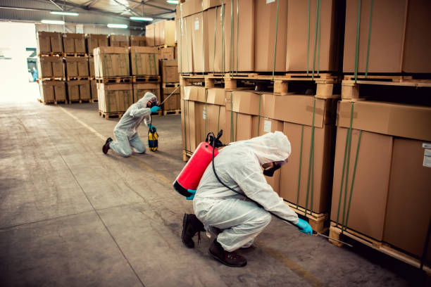 Wasp Removal Services in Kaufman, TX