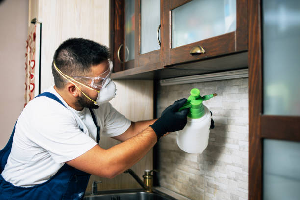 Best Affordable Pest Control Services  in Kaufman, TX