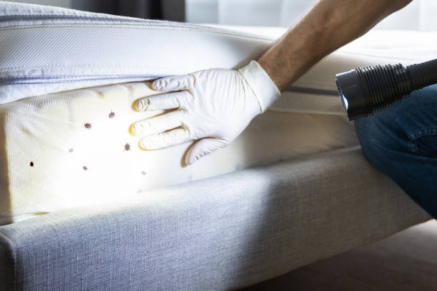 Best Bed Bug Extermination  in Kaufman, TX