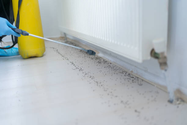 Best Residential Pest Control  in Kaufman, TX