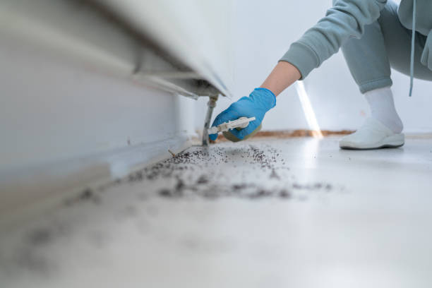 Best Pest Control Near Me  in Kaufman, TX